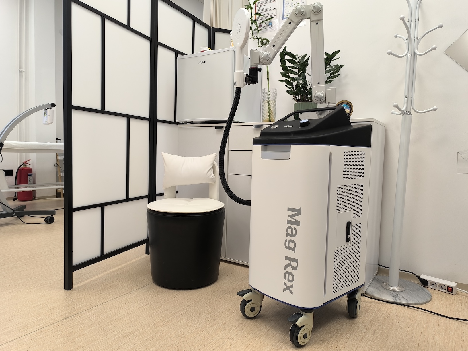 Magnetic Therapy photo