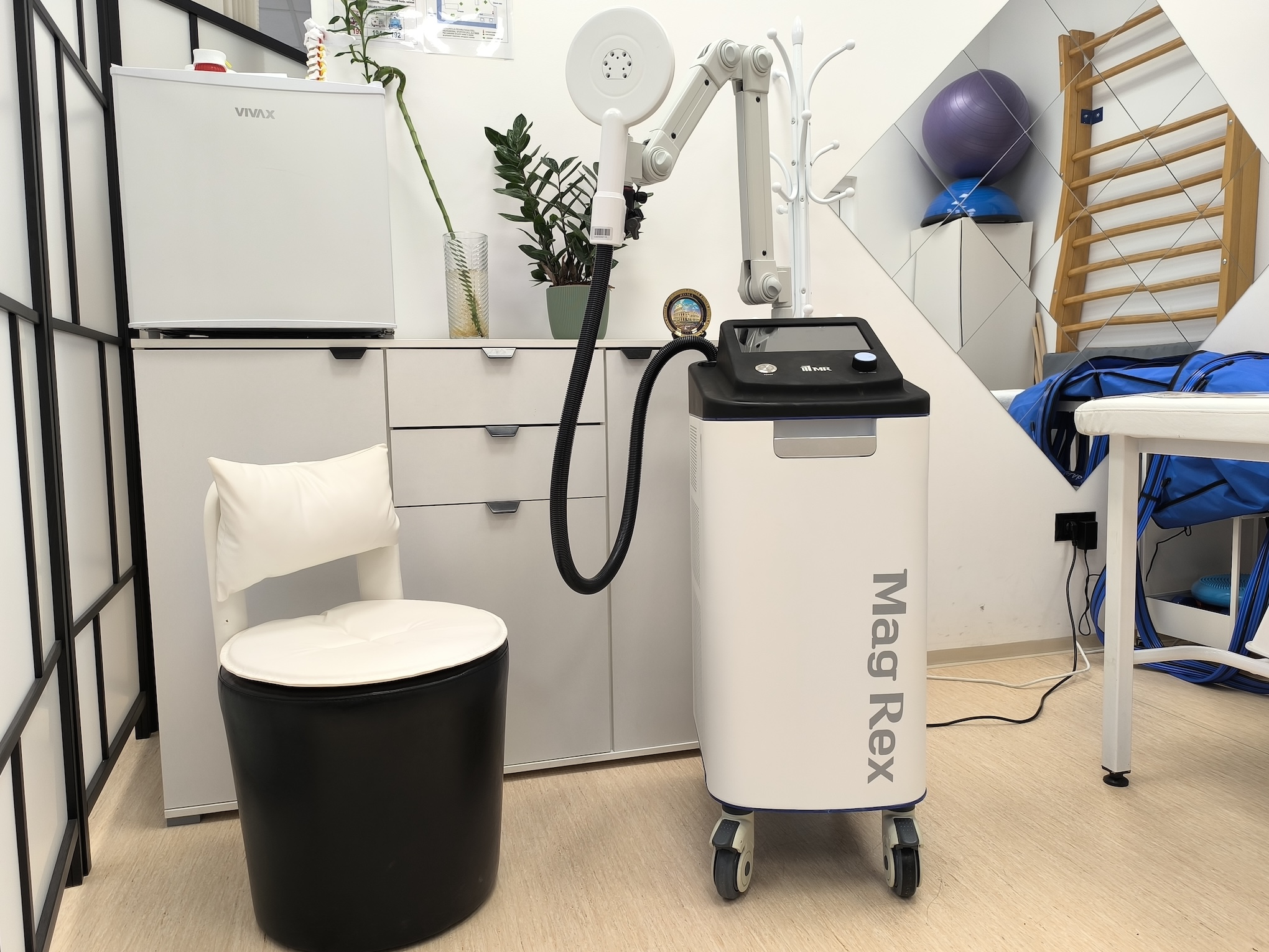 Magnetic Therapy device